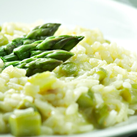 Recettes (13)